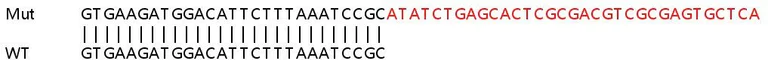 Sanger Sequencing - Human PIK3C2A (PI 3 Kinase Class 2A/Cpk) knockout HeLa cell line (AB264943)