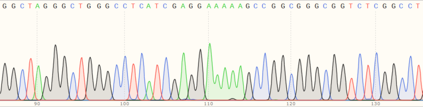 Sanger Sequencing - Human PINK1 knockout HEK-293T cell line (ab266393), expandable thumbnail