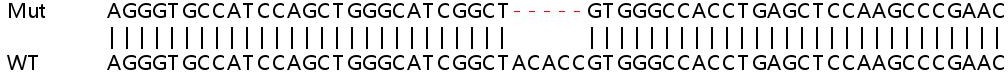 Sanger Sequencing - Human PIP5K1C knockout HeLa cell lysate (AB258117), expandable thumbnail
