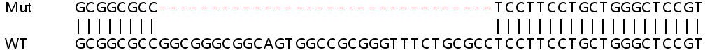 Sanger Sequencing - Human PKDCC (VLK) knockout HeLa cell lysate (AB259043), expandable thumbnail