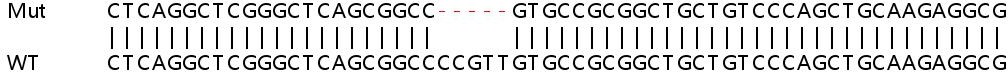 Sanger Sequencing - Human PKP3 (Plakophilin 3) knockout HeLa cell lysate (AB258120), expandable thumbnail