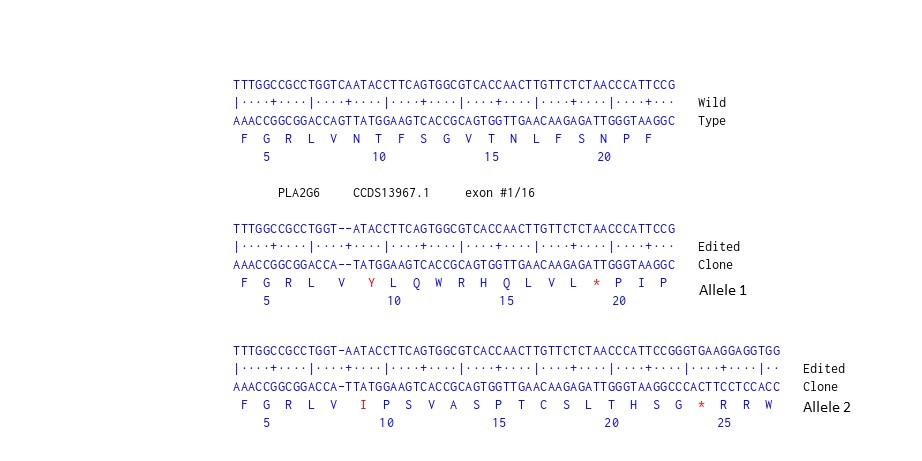 Next Generation Sequencing - Human PLA2G6 knockout U-87 MG cell line (AB306752), expandable thumbnail
