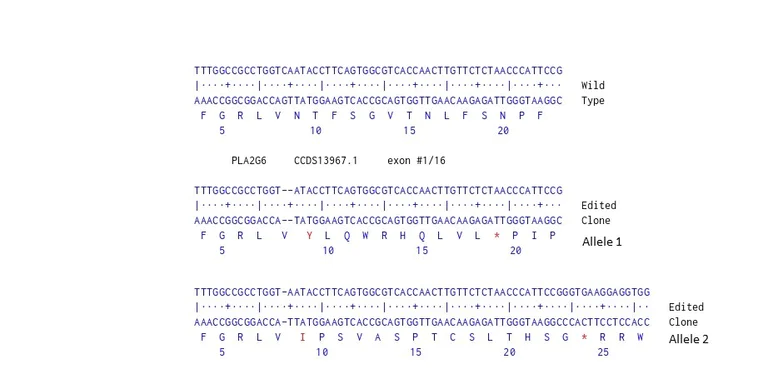 Next Generation Sequencing - Human PLA2G6 knockout U-87 MG cell line (AB306752)