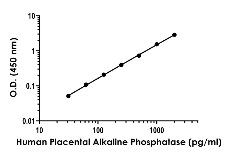 Sandwich ELISA - Human Placental alkaline phosphatase (PLAP) ELISA Kit (AB303758)