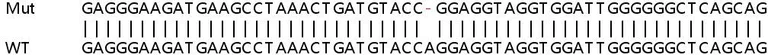 Sanger Sequencing - Human PLD3 knockout HEK-293T cell line (AB266563)
