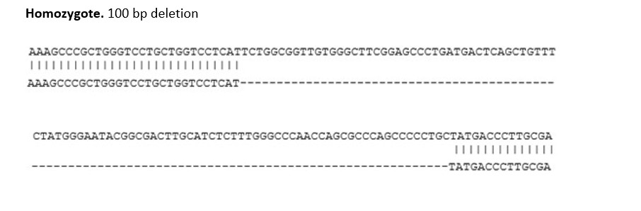 Sanger Sequencing - Human PLD3 Knockout SH-SY5Y cell line (AB318179), expandable thumbnail