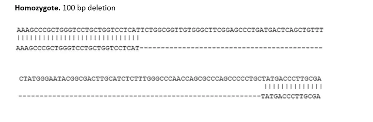 Sanger Sequencing - Human PLD3 Knockout SH-SY5Y cell line (AB318179)