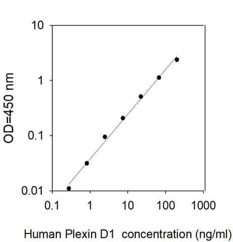 Sandwich ELISA - Human Plexin D1 ELISA Kit (AB313926)