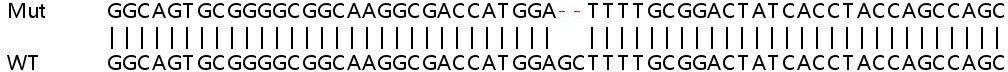 Sanger Sequencing - Human PLK2 knockout HCT116 cell line (AB266859), expandable thumbnail