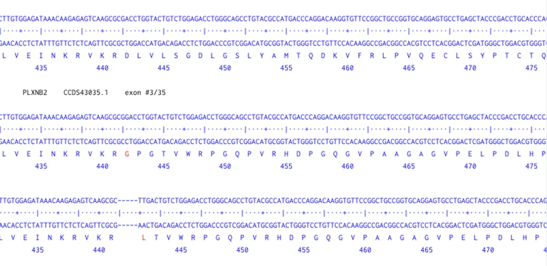 Next Generation Sequencing - Human PLXNB2 (Plexin B2/MM1) knockout HEK-293 cell line (AB269468)
