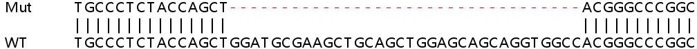 Sanger Sequencing - Human PLXNB2 (Plexin B2/MM1) knockout HeLa cell line (AB265412), expandable thumbnail