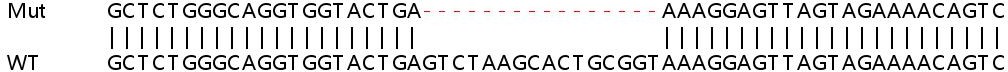 Sanger Sequencing - Human PMS2 knockout HeLa cell lysate (AB257142), expandable thumbnail