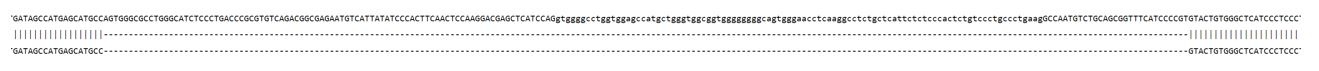 Sanger Sequencing - Human PNPLA2 Knockout A549 cell line (AB324215), expandable thumbnail