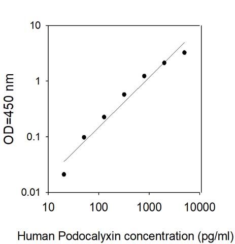 Sandwich ELISA - Human PODXL ELISA Kit (AB313927)