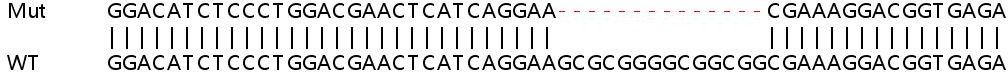 Sanger Sequencing - Human POLDIP3 (p46) knockout HeLa cell line (AB265843), expandable thumbnail