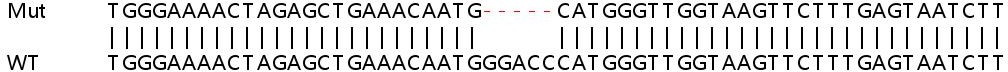 Sanger Sequencing - Human POLR1D knockout HeLa cell line (AB265470)