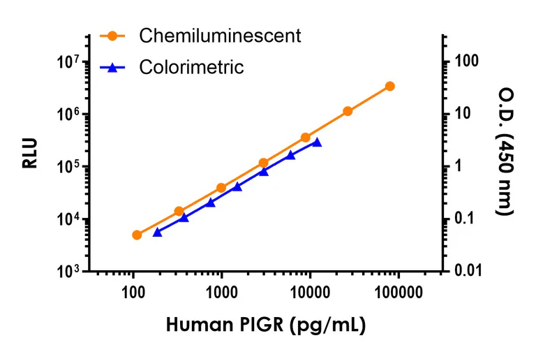 Sandwich ELISA - Human Polymeric immunoglobulin receptor (PIGR) ELISA Kit, Chemiluminescent (AB325725)
