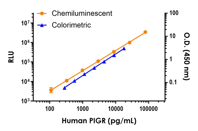 Sandwich ELISA - Human Polymeric immunoglobulin receptor (PIGR) ELISA Kit, Chemiluminescent (AB325725)