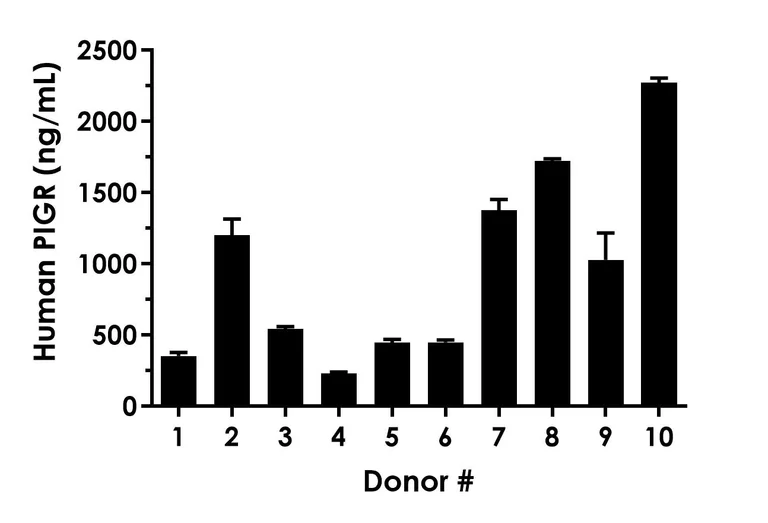 Sandwich ELISA - Human Polymeric immunoglobulin receptor (PIGR) ELISA Kit, Chemiluminescent (AB325725)