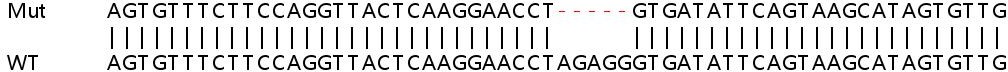 Sanger Sequencing - Human POMK knockout HEK-293T cell line (AB267313), expandable thumbnail