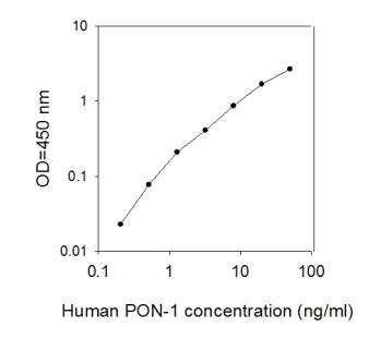 ELISA - Human PON1 ELISA Kit (AB277403)