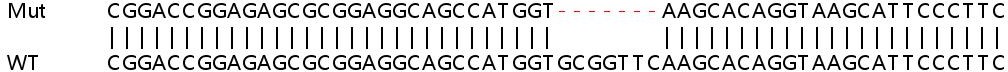 Sanger Sequencing - Human POP5 knockout HEK-293T cell lysate (AB259052), expandable thumbnail