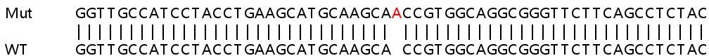 Sanger Sequencing - Human PORCN (PPN) knockout HeLa cell lysate (AB257597), expandable thumbnail