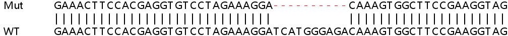 Sanger Sequencing - Human POSTN (Periostin) knockout HeLa cell line (AB261806), expandable thumbnail
