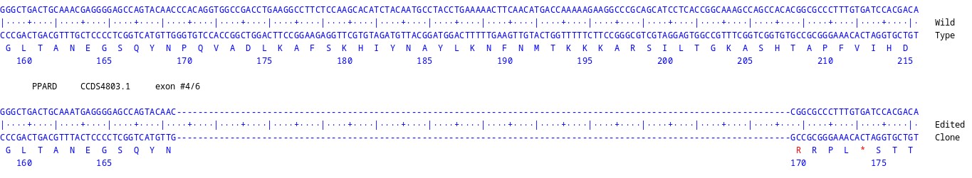 Next Generation Sequencing - Human PPARD knockout HCT116 cell line (AB289216)