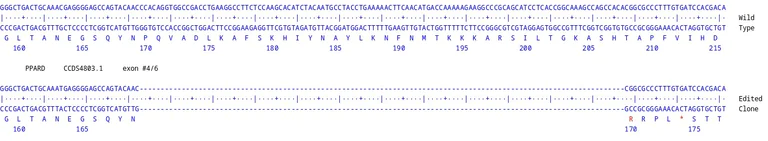 Next Generation Sequencing - Human PPARD knockout HCT116 cell line (AB289216)
