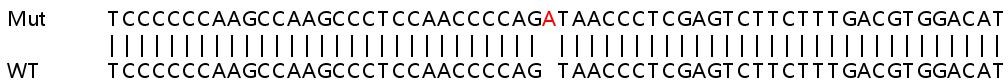 Sanger Sequencing - Human PPID (Cyclophilin 40) knockout HeLa cell line (AB265788), expandable thumbnail