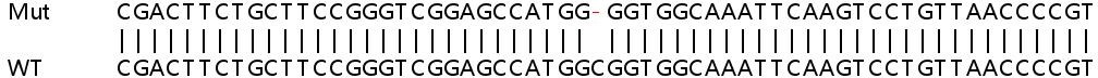 Sanger Sequencing - Human PPIH knockout HEK-293T cell line (AB266288)