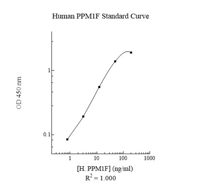 Sandwich ELISA - Human PPM1F/POPX2 ELISA Kit (AB283990)