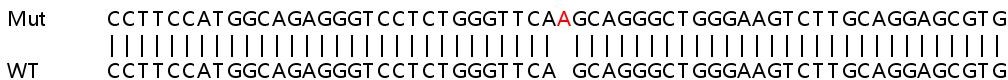 Sanger Sequencing - Human PPM1F (POPX2) knockout HEK-293T cell line (AB266176), expandable thumbnail