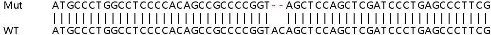 Sanger Sequencing - Human PPP1R13L (iASPP) knockout HeLa cell lysate (AB258598), expandable thumbnail