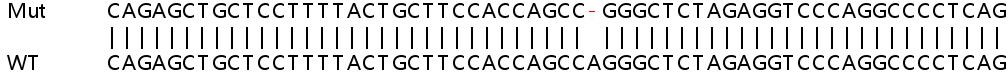 Sanger Sequencing - Human PPP1R15A (GADD34) knockout HeLa cell line (AB265340), expandable thumbnail