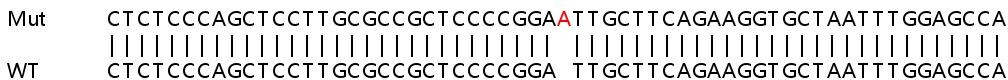 Sanger Sequencing - Human PPP1R15B knockout HeLa cell line (AB265959)