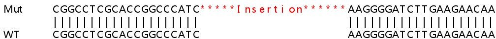 Sanger Sequencing - Human PPP1R2 (Protein phosphatase 1 inhibitor subunit 2) knockout HeLa cell line (AB265684)