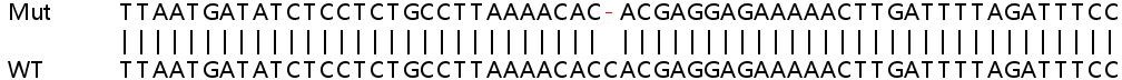 Sanger Sequencing - Human PPP1R3C knockout HeLa cell lysate (AB259058)
