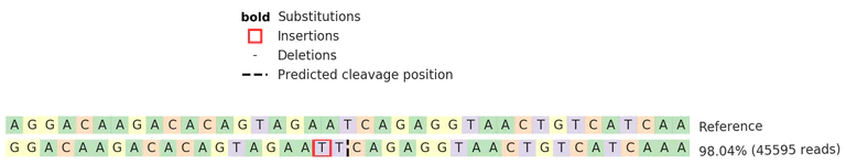 Next Generation Sequencing - Human PPP2R5C knockout A-431 cell line (AB269620)