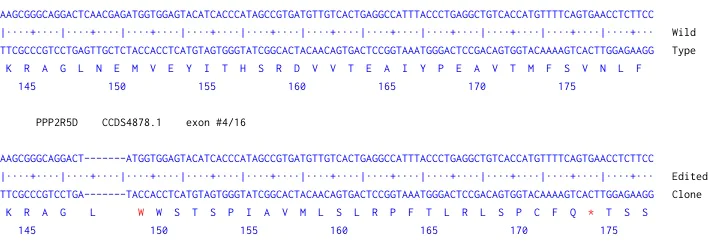 Next Generation Sequencing - Human PPP2R5D knockout A-431 cell line (AB270476)