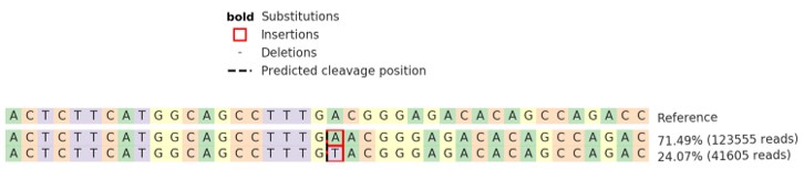 Next Generation Sequencing - Human PRAME knockout U-2 OS cell line (AB275834)