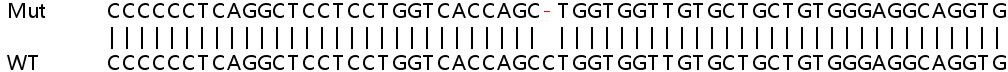 Sanger Sequencing - Human PRAP1 knockout HeLa cell line (AB265474)