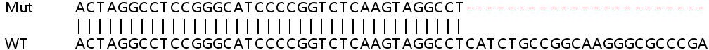 Sanger Sequencing - Human PRCC (Papillary renal cell carcinoma) knockout HEK-293T cell line (AB266268), expandable thumbnail
