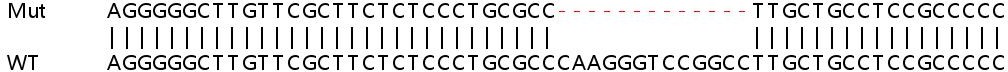 Sanger Sequencing - Human PRCC (Papillary renal cell carcinoma) knockout HEK-293T cell line (AB266268), expandable thumbnail