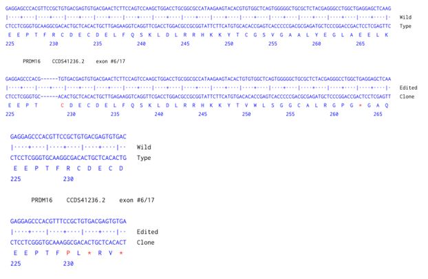 Next Generation Sequencing - Human PRDM16 knockout HCT116 cell line (AB286500), expandable thumbnail