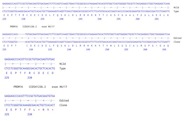 Next Generation Sequencing - Human PRDM16 knockout HCT116 cell line (AB286500)