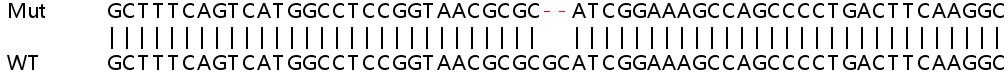 Sanger Sequencing - Human PRDX2 (Peroxiredoxin 2/PRP) knockout HEK-293T cell lysate (AB257041), expandable thumbnail