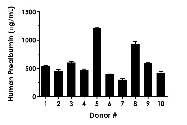 Sandwich ELISA - Human Prealbumin ELISA Kit (AB231920)