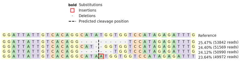 Next Generation Sequencing - Human PRKAA1 knockout HeLa cell line (AB277149)